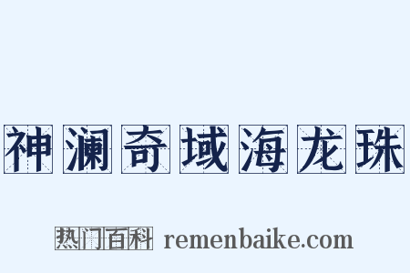 神澜奇域海龙珠是什么意思的图片